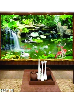 TPT SỐ 11