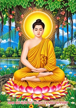 THÍCH CA cảnh xua PG