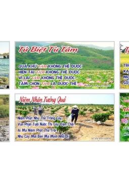 CÂU GIẢNG THẦY-GIẢNG PHẬT