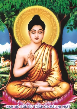 TRANH PHẬT THÍCH CA T03