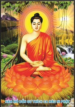 TRANH PHẬT THÍCH CA T05