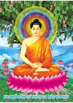 TRANH PHẬT THÍCH CA T08