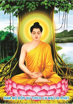TRANH PHẬT THÍCH CA T12