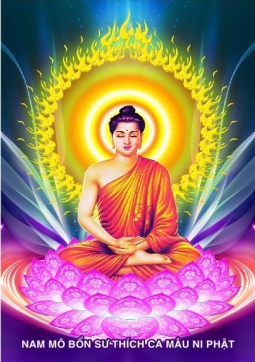 TRANH PHẬT THÍCH CA T13
