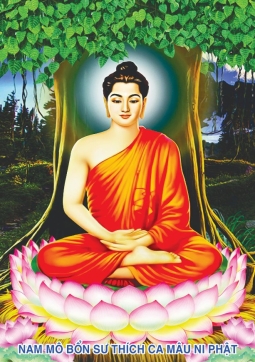 TRANH PHẬT THÍCH CA T17