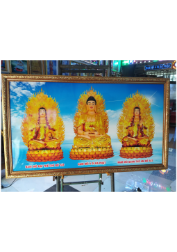TRANH HIỆN ĐẠI KHUNG NHÔM ALU 11