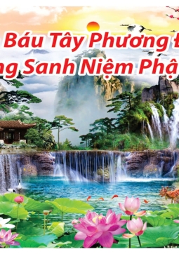 TRANH SƠN THUY HOA SEN