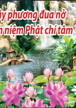 THẦY ĐỨNG HÀO QUANG 07