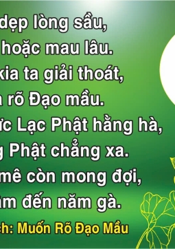 LỜI ĐỨC THẦY