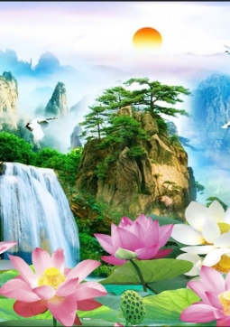 THẦY CÓ HOA SEN