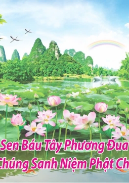 THẦY ĐỨNG CÓ HOA SEN